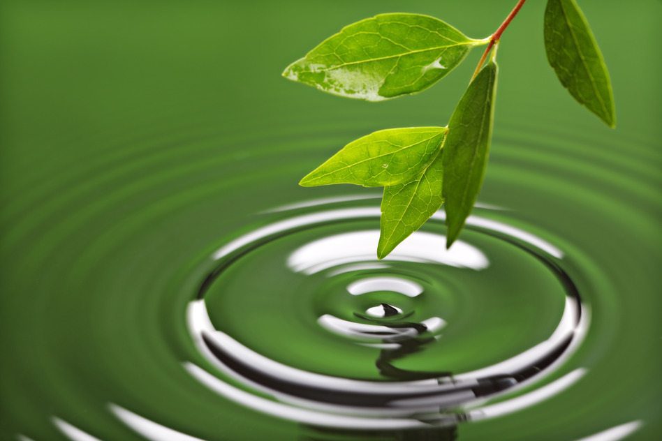 Rhythms Of Life That Flow Without Recognition